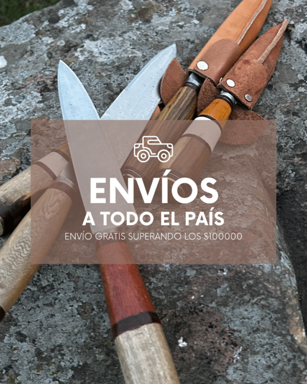 Envío gratis superando los $100000